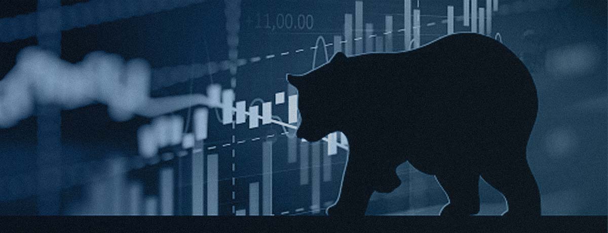 How to survive a bear market